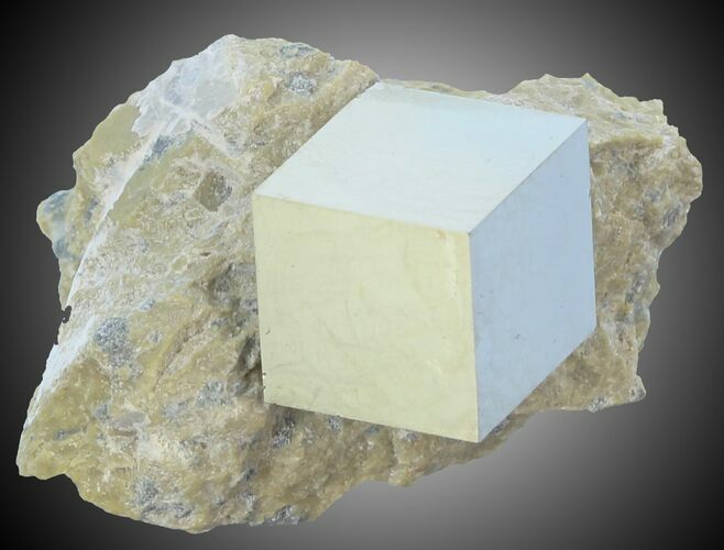 Pyrite Cube on Matrix - Navajun, Spain #30951